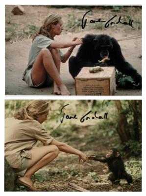 Lot #265 Jane Goodall (2) Signed Photographs