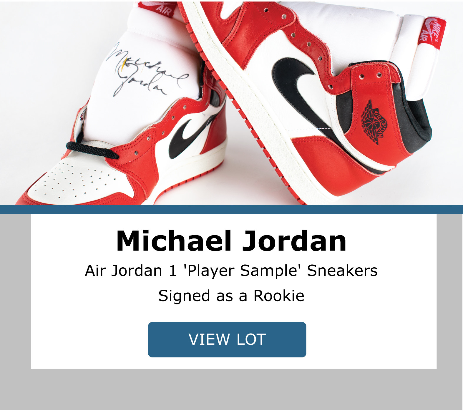 Michael Jordan Sneaker