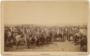 Lot #219 Wyoming Cowboys - Image 1