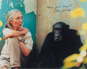 Lot #313 Jane Goodall - Image 2