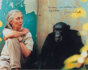 Lot #313 Jane Goodall - Image 3