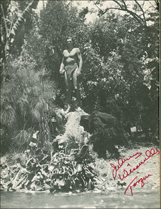 Lot #832  Tarzan - Image 3