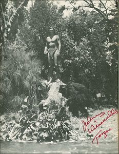 Lot #765  Tarzan - Image 3