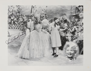 Lot #847 Wizard of Oz: Munchkins - Image 14