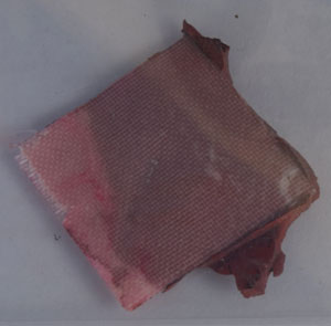 Lot #8202  Apollo 8 Flown CM Strapping Material - Image 3