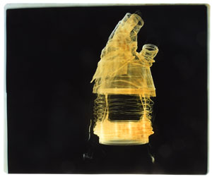 Lot #8141  Apollo EVA Pair of X-ray Glove Photographs  - Image 1