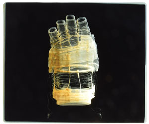 Lot #8141  Apollo EVA Pair of X-ray Glove Photographs  - Image 3