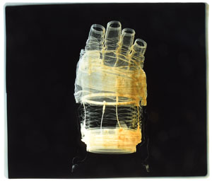 Lot #8141  Apollo EVA Pair of X-ray Glove Photographs  - Image 4