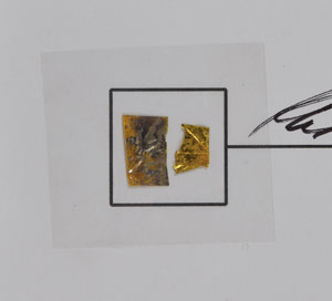 Lot #8268  Apollo 11 Flown Film and Kapton Fragments and MFA Medal - Image 5