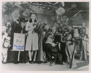 Lot #772  Wizard of Oz - Image 1