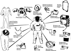 Lot #8336  Buzz Aldrin's Constant Wear Garment - Image 8
