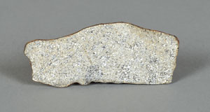 Lot #8155  Northwest Africa Vesta Meteorite Slice