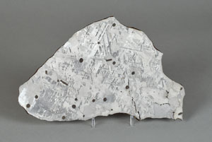 Lot #8152  Mount Dooling Iron Meteorite Slice