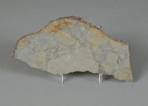 Lot #8147  Covert Stone Meteorite Slice