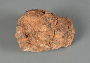 Lot #8156  Saharan Stone Meteorite