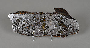 Lot #8157  Seymchan Pallasite Meteorite Slice - Image 2