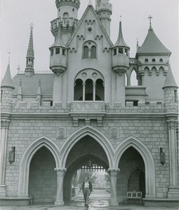 Lot #525 Walt Disney - Image 1