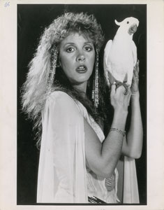 Lot #2277  Fleetwood Mac: Stevie Nicks Oversized Original Photograph - Image 1