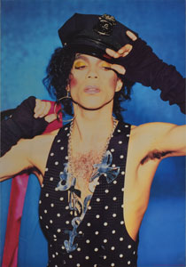 Lot #6160  Prince Lovesexy Collection of Items
