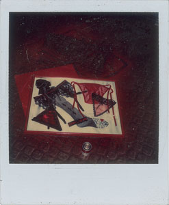 Lot #4031  Prince Group of (3) Polaroids - Image 3