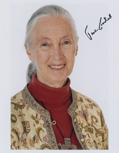 Lot #415 Jane Goodall - Image 1