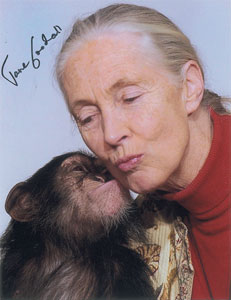 Lot #415 Jane Goodall - Image 2