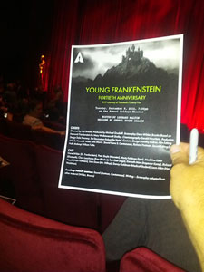 Lot #50  Young Frankenstein Signed Script - Image 9