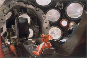 Lot #6690  SpaceShipOne Flown Beanie Baby - Image 8