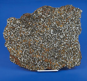 Lot #6001  Sericho Pallasite Meteorite Slice - Image 2