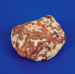 Lot #6005  El Boludo Stone Meteorite Slice and Whole Individual