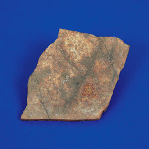 Lot #6005  El Boludo Stone Meteorite Slice and Whole Individual - Image 3