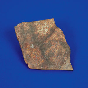 Lot #6005  El Boludo Stone Meteorite Slice and Whole Individual - Image 4