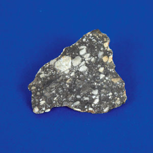 Lot #6006  Northwest Africa Lunar Meteorite Slice