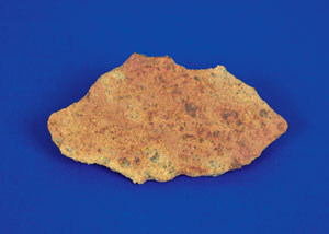 Lot #6020  Northwest Africa Stone Diogenite Meteorite Slice - Image 2