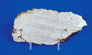 Lot #6022  Agoudal Iron Meteorite Slice - Image 2
