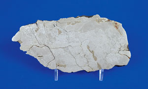 Lot #6022  Agoudal Iron Meteorite Slice