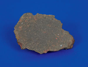 Lot #6024  Northwest Africa Stone Meteorite End Cut