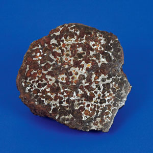 Lot #6003  Sericho Pallasite Meteorite Matched End Cuts - Image 3