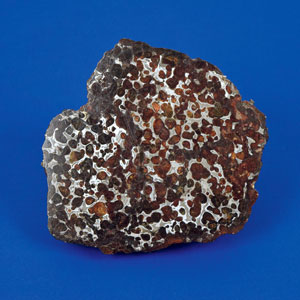 Lot #6003  Sericho Pallasite Meteorite Matched End Cuts - Image 4