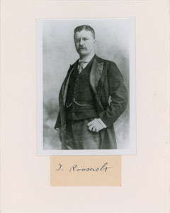 Lot #324 Theodore Roosevelt - Image 1