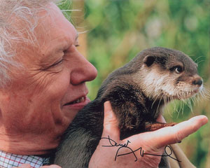 Lot #382 Jane Goodall and David Attenborough - Image 1