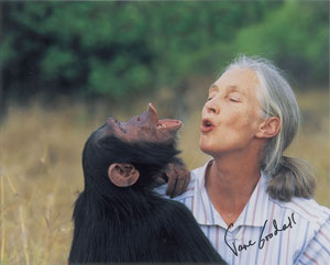 Lot #382 Jane Goodall and David Attenborough - Image 3