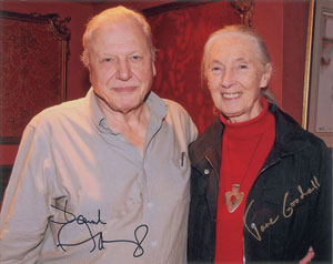 Lot #275 Jane Goodall and David Attenborough