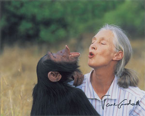 Lot #275 Jane Goodall and David Attenborough - Image 3