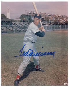 Lot #1062 Ted Williams