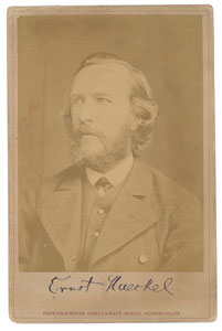 Lot #224 Ernst Haeckel - Image 1