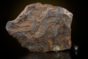 Lot #4022  Nantan Meteorite