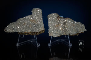 Lot #4023  NWA 869 Meteorite Matched Pair - Image 1