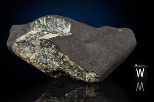 Lot #4012  Chelyabinsk Meteorite