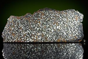 Lot #4026  Sericho Meteorite Slice - Image 2